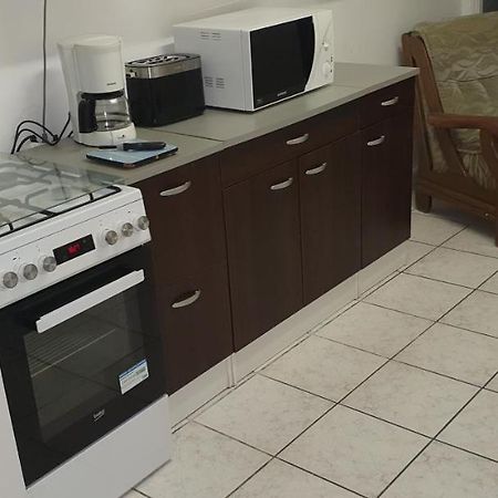 Appartement F1 Rez De Chausser Bg N°2 Bains-les-Bains Buitenkant foto